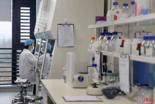 戰疫時刻，生物化工技術研發展現成都真實城市精神